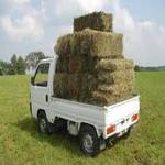 Tips to Know for Choosing Best Tempo Hire Services