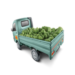 5 Minutes Read of Few Useful Truck Suggestions for Safe Goods Shifting
